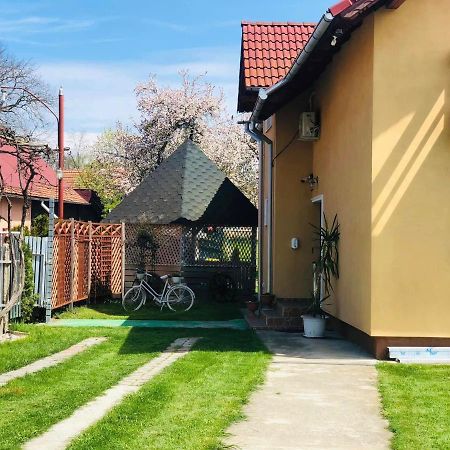 فندق Ucea de Susفي  Casa Ardeleana Ucea المظهر الخارجي الصورة