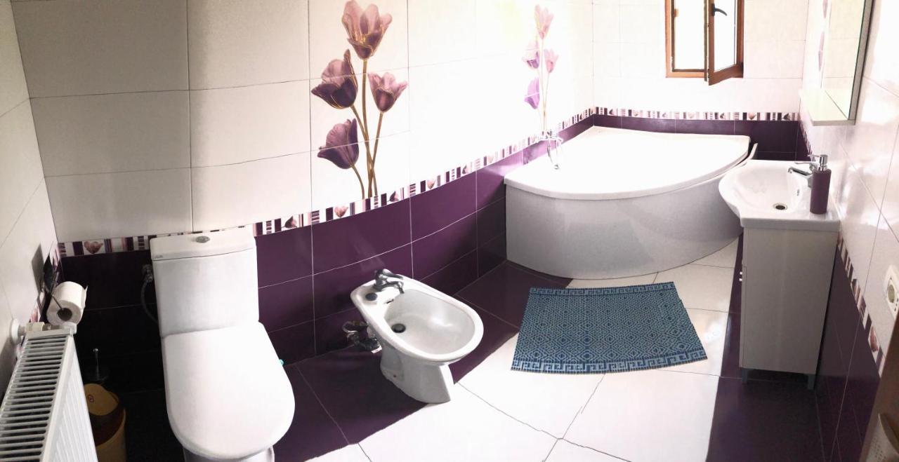 فندق Ucea de Susفي  Casa Ardeleana Ucea المظهر الخارجي الصورة