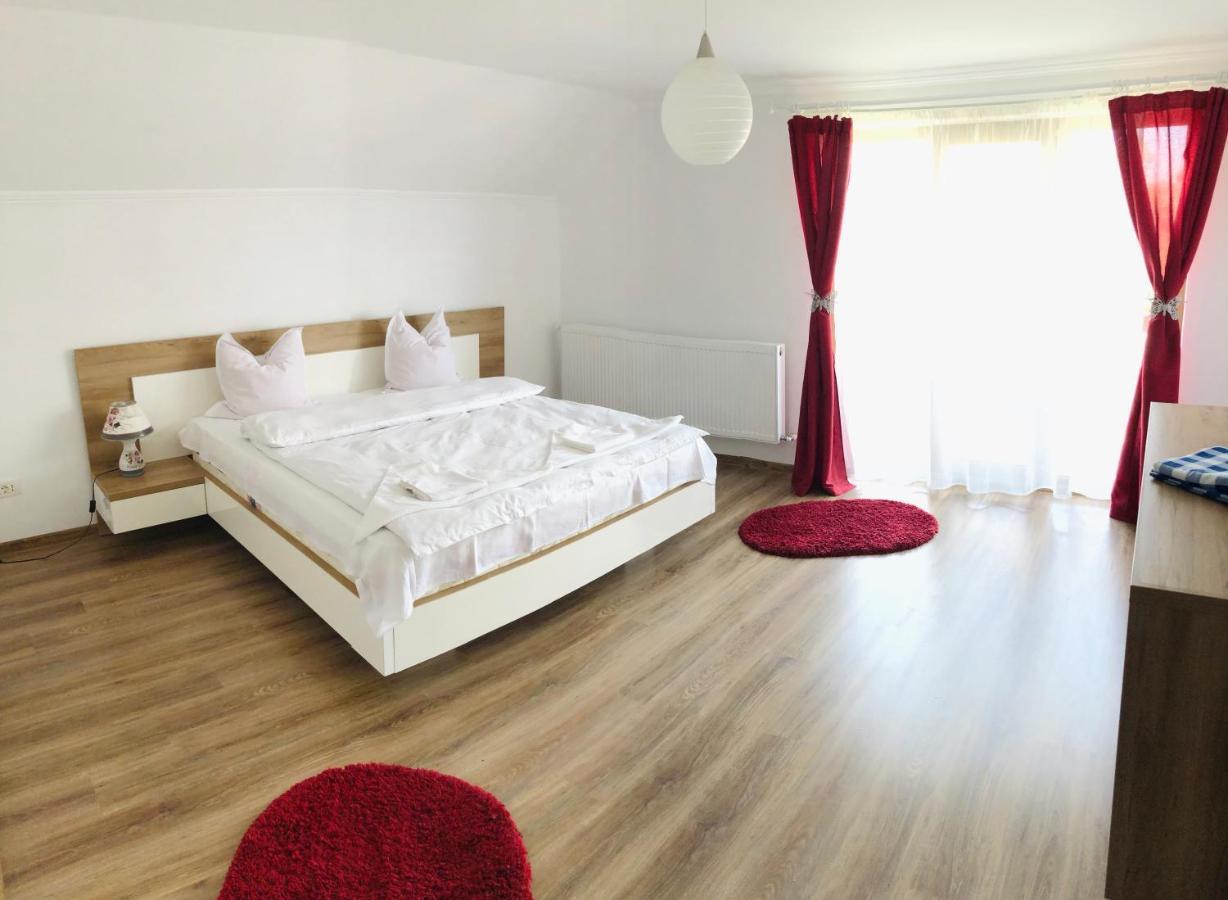 فندق Ucea de Susفي  Casa Ardeleana Ucea المظهر الخارجي الصورة