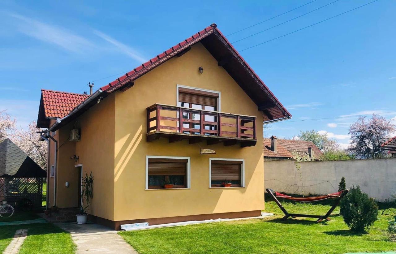 فندق Ucea de Susفي  Casa Ardeleana Ucea المظهر الخارجي الصورة