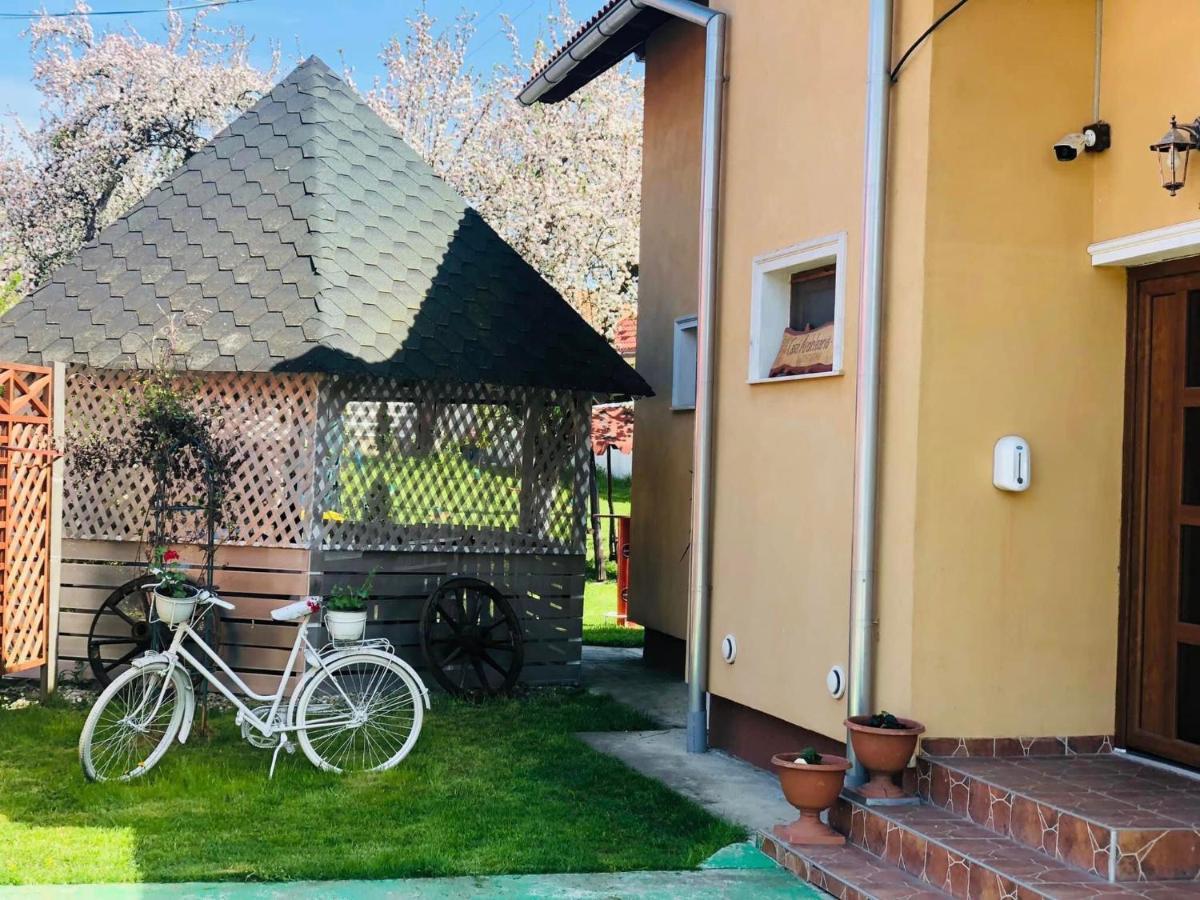 فندق Ucea de Susفي  Casa Ardeleana Ucea المظهر الخارجي الصورة